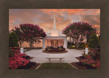 Load image into Gallery viewer, Raleigh Splendor