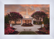 Load image into Gallery viewer, Raleigh Splendor