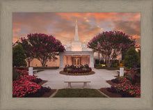 Load image into Gallery viewer, Raleigh Splendor