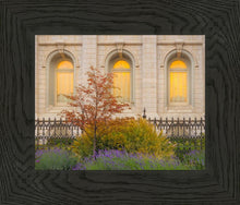 Load image into Gallery viewer, Salt Lake Autumn Detail