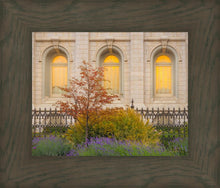 Load image into Gallery viewer, Salt Lake Autumn Detail