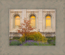 Load image into Gallery viewer, Salt Lake Autumn Detail