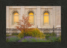 Load image into Gallery viewer, Salt Lake Autumn Detail