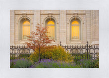 Load image into Gallery viewer, Salt Lake Autumn Detail
