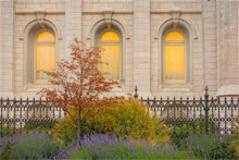 Load image into Gallery viewer, Salt Lake Autumn Detail
