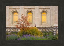 Load image into Gallery viewer, Salt Lake Autumn Detail