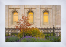 Load image into Gallery viewer, Salt Lake Autumn Detail