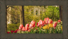 Load image into Gallery viewer, Salt Lake in the Garden