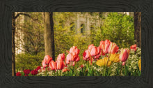 Load image into Gallery viewer, Salt Lake in the Garden