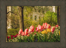 Load image into Gallery viewer, Salt Lake in the Garden