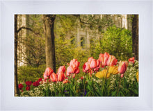 Load image into Gallery viewer, Salt Lake in the Garden