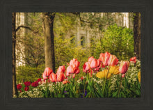 Load image into Gallery viewer, Salt Lake in the Garden