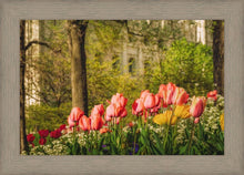 Load image into Gallery viewer, Salt Lake in the Garden