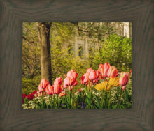 Load image into Gallery viewer, Salt Lake in the Garden