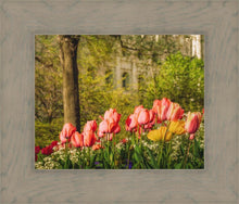 Load image into Gallery viewer, Salt Lake in the Garden
