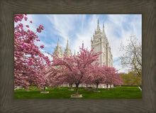 Load image into Gallery viewer, Salt Lake Spring Blossoms
