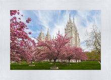 Load image into Gallery viewer, Salt Lake Spring Blossoms