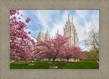 Load image into Gallery viewer, Salt Lake Spring Blossoms