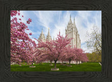Load image into Gallery viewer, Salt Lake Spring Blossoms