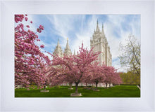 Load image into Gallery viewer, Salt Lake Spring Blossoms