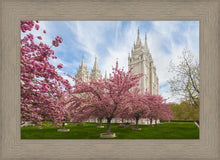 Load image into Gallery viewer, Salt Lake Spring Blossoms
