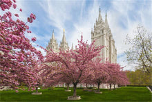 Load image into Gallery viewer, Salt Lake Spring Blossoms