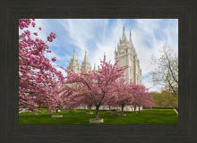Load image into Gallery viewer, Salt Lake Spring Blossoms