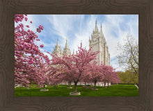 Load image into Gallery viewer, Salt Lake Spring Blossoms