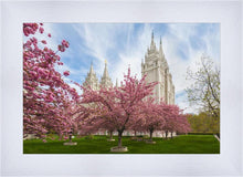Load image into Gallery viewer, Salt Lake Spring Blossoms