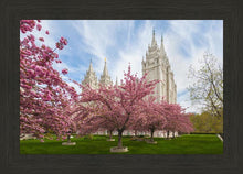 Load image into Gallery viewer, Salt Lake Spring Blossoms