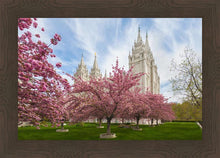 Load image into Gallery viewer, Salt Lake Spring Blossoms