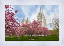 Load image into Gallery viewer, Salt Lake Spring Blossoms
