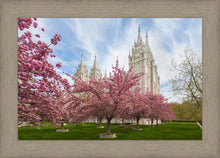 Load image into Gallery viewer, Salt Lake Spring Blossoms