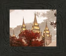 Load image into Gallery viewer, Salt Lake Temple 05
