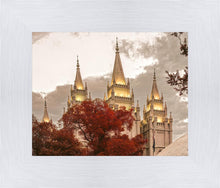 Load image into Gallery viewer, Salt Lake Temple 05