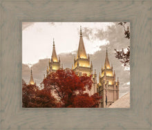 Load image into Gallery viewer, Salt Lake Temple 05