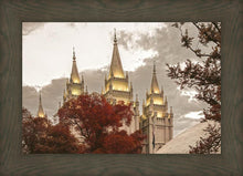Load image into Gallery viewer, Salt Lake Temple 05
