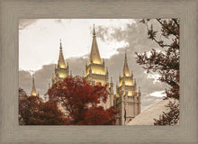 Load image into Gallery viewer, Salt Lake Temple 05