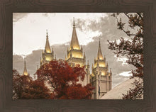 Load image into Gallery viewer, Salt Lake Temple 05