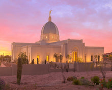 Load image into Gallery viewer, Tucson Desert Sunset