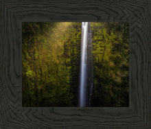 Load image into Gallery viewer, Akaka Falls Aloha