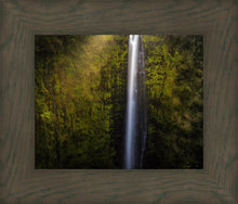 Load image into Gallery viewer, Akaka Falls Aloha