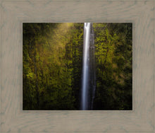 Load image into Gallery viewer, Akaka Falls Aloha