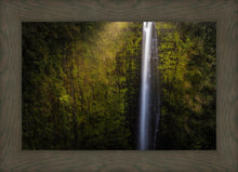 Load image into Gallery viewer, Akaka Falls Aloha