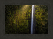 Load image into Gallery viewer, Akaka Falls Aloha