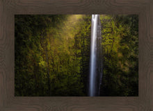 Load image into Gallery viewer, Akaka Falls Aloha