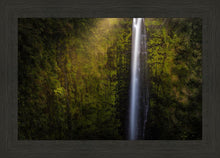 Load image into Gallery viewer, Akaka Falls Aloha