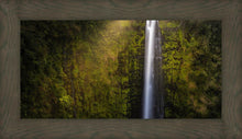 Load image into Gallery viewer, Akaka Falls Aloha