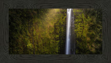 Load image into Gallery viewer, Akaka Falls Aloha