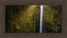 Load image into Gallery viewer, Akaka Falls Aloha